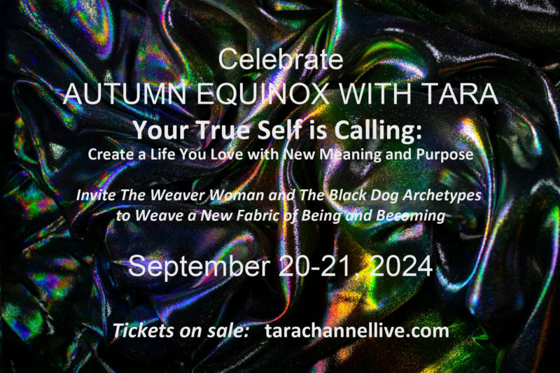 Tara Channel Live - Autumn Equinox with Tara 2024 - featuring Tara as channeled by Katharina Notarianni - September 20-21, 2024 - https://tarachannellive.com