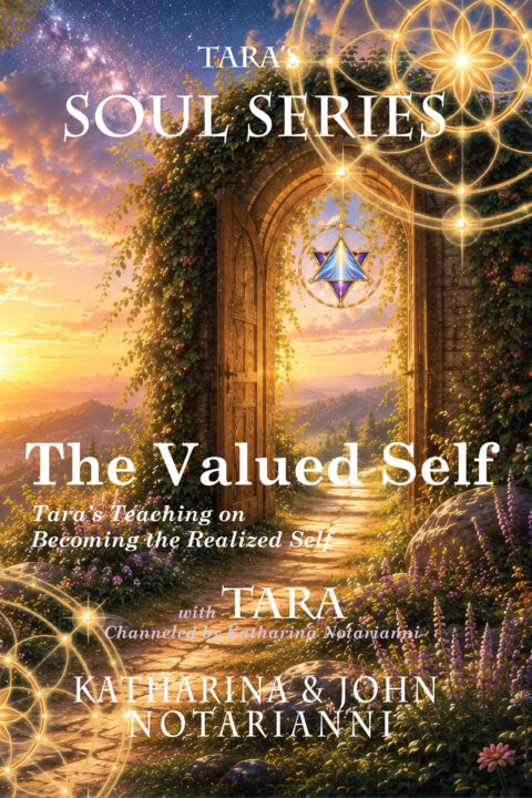 The Valued Self - Book One of Tara's Soul Series